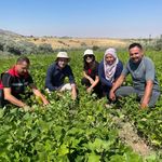 Nevşehir’de Kuru Fasulye Projelerinde Saha İncelemesi