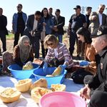 Nevşehir'de Çerezlik Kabak Çekirdeği Hasadı Başladı