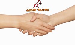 Altay Grup Bünyesinde Çalışacak Bayan Eleman Aranıyor