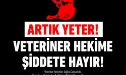 Veteriner Hekime Şiddete Son!