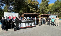 Nevşehir'de Kadına Yönelik Şiddet Protesto Edildi