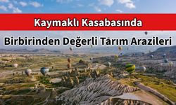 Kaymaklı'da Birbirinden Değerli Tarım Arazileri İhaleyle Satışa Sunuluyor