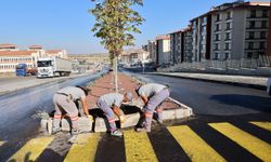 Bekdik Mahallesi TOKİ 4 ve 5. Etap Çevresinde Yoğun Temizlik Çalışması