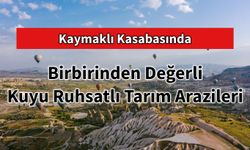 Kaymaklı Kasabasında Birbirinden Değerli Kuyu Ruhsatlı Tarım Arazileri