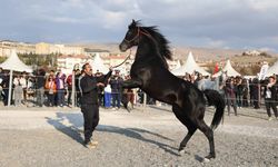 Kapadokya'da Atlar Podyum Çıktı