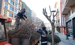 Nevşehir'de Belediye Kışlık Budama Mesaisini Sürdürüyor