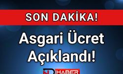 Son Dakika! Asgari Ücret Açıklandı