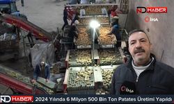 2024 Yılında 6 Milyon 500 Bin Ton Patates Üretimi Yapıldı