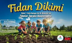 İlkokul 1. Sınıf Öğrencileri için 1 Fidan