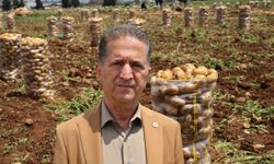 Hepsi Geri Gönderildi: Yurt Dışından Gelen 2 Bin Tondan Fazla Patates Virüslü Çıktı