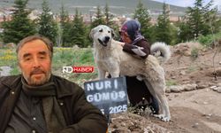 Nevşehir'de 6 Gün Önce Vefât Eden Nuri Gümüş'ün Köpeği Mezarından Ayrılmıyor