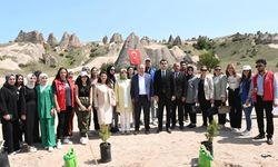 Vali Ali Fidan, Gülşehir'deki Fidan Dikimi Etkinliğine Katıldı