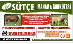 Sütçe Manav ve Şarküteri'de Kurbanlık Satışları Devam Ediyor
