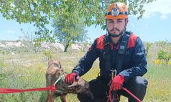 Uçhisar’da Vadide Mahsur Kalan Köpek Kurtarıldı