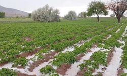 Nevşehir'de Sel ve Dolu Tarım Arazilerini Vurdu