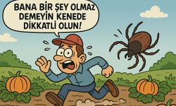 Nevşehirli Vatandaşı Tarlada Kene Kovaladı