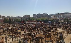Nevşehir Hayvan Pazarı Geçici Olarak Kapatıldı