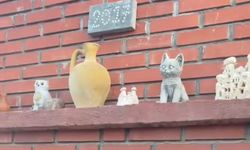 Nevşehir'de Testiden Gelen Sürpriz: Beş Minik Misafir