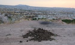 Peribacaları Arasındaki Gübreler Büyük Tepki Topladı