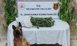 Ürgüp’te 4 Kilo Esrar ve Kenevir Ele Geçirildi: 1 Kişi Tutuklandı