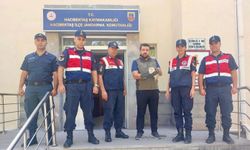 Hacıbektaş’ta Nesli Tükenmekte Olan Paçalı Baykuş Yaralı Bulundu