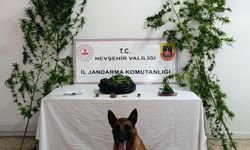 İbrahimpaşa'da Yapılan Aramada Skunk ve Kubar Esrar Ele Geçirildi