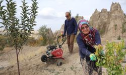 Nevşehir’de Peribacalarını Ağaçlarla Güzelleştiriyorlar