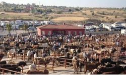 Nevşehir Hayvan Pazarı Açıldı