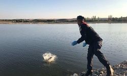 Balıklar Salındı, Ağlar Yakıldı