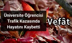 Üniversite Öğrencisi Trafik Kazasında Hayatını Kaybetti