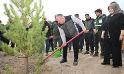 Nevşehir’de Milli Ağaçlandırma Günü’nde Binlerce Fidan Toprakla Buluştu