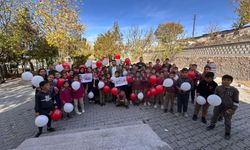 AK Parti Nevşehir Gençlik Kolları, 81 Hayal 1 Türkiye Basın Açıklamasını Nevşehir’de Gerçekleştirdi