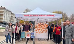 Nejdet Ersan Parkı’nda Kadına Yönelik Şiddete Karşı Farkındalık Etkinliği Gerçekleştirildi