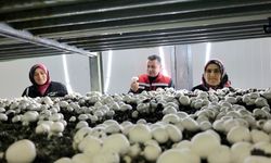 Gülşehir’de 7,9 Milyon TL’lik KKYDP 16. Etap Mantarcılık Projesi Tamamlandı