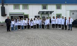 Kardelenli Fen Lisesi Öğrencileri Kimya Dersini Fabrikada İşledi