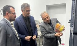 Nevşehir’de Damat İbrahim Paşa Külliyesi ve Aşevi İncelendi