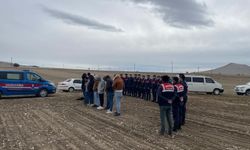 Kaymaklı’da Köpek Dövüşü: Jandarma 19 Şahıs Hakkında İşlem Başlattı