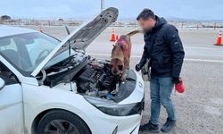 Nevşehir’de Yol Kontrolünde 2 Araçta Sentetik Ecza Hapı ve Aparat Ele Geçirildi