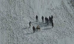 Köpek Dövüşüne Geçit Yok: Avanos’ta 10 Kişiye İşlem