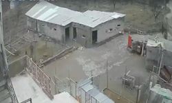 Nevşehir’de Fırtına Ağıl ve Mandırayı Vurdu: 12 Koyun Telef Oldu