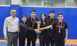 Kardelenli Şampiyon Satranç Oyuncuları Bölge Finalinde