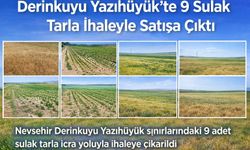 Derinkuyu Yazıhüyük’te 9 Sulak Tarla İhaleyle Satışa Çıktı