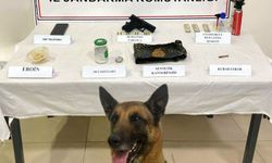 Kozaklı’da Zehir Tacirlerine Operasyon: Çok Sayıda Madde ve Silah Ele Geçirildi