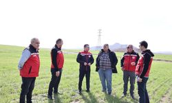 Nevşehir’de Bitkisel Üretimde Fenolojik Gözlemler Sürüyor