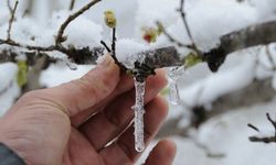 Nevşehir'de Zirai Don Bekleniyor!