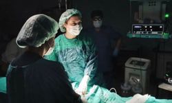 Nevşehir Devlet Hastanesinde Kıl Dönmesinde Kapalı Ameliyat Dönemi