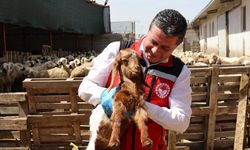 Nevşehir’de “Cuma Buluşmaları” Kapsamında Üreticilere Bilgilendirme Yapıldı