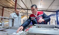 Nevşehir’de Yumurta Tavukçuluğu Tesisi Hibe Desteğiyle Kapasitesini Artırdı