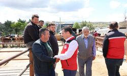 Nevşehir Hayvan Pazarı’nda Kurban Bayramı Hareketliliği