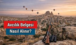 Avcılık Belgesi Nasıl Alınır? Adım Adım Başvuru Rehberi